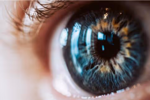 Empecemos a trabajar